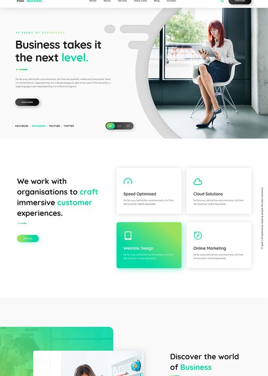 phlox-wordpress-theme-business2
