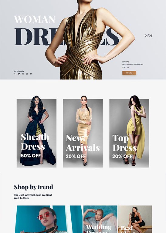 wolf-web-design-orange-county-website-designer-1 (4)