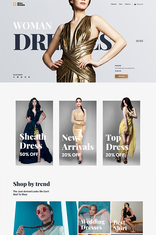 wolf-web-design-orange-county-website-designer-1 (4)